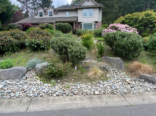 Cleanups by Ryden Varland for Elly K. in Sammamish, WA