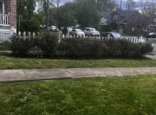 Bush Trimming by James Abernathy for Stephanie B. in Cincinnati, OH