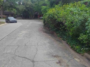 Bush Trimming by John Payton for Hannah H. in Dallas, TX