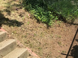 Cleanups by Wesley Souders for Kevin K. in Baltimore, MD