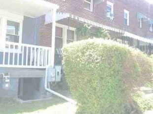 Bush Trimming by Chris Stewart for Jimell G. in Washington, DC