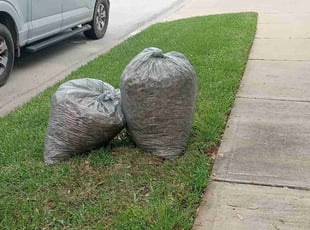 Leaf Removal by Carina Perez for Melissa C. in Cypress, TX