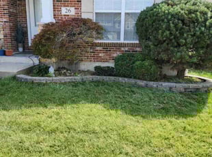 Bush Trimming by Ramiro Vicente for Ankit S. in Saint Charles, MO