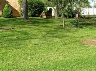 Amanda H.'s Lawn Mowing Service service result