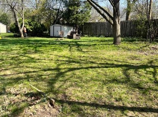 Leaf Removal by Nathaniel Ray for Rose S. in Madison, WI