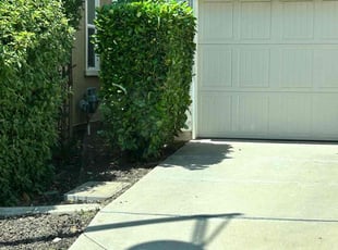 Bush Trimming by Kenneth jones for Tiffany D. in Rancho Cordova, CA