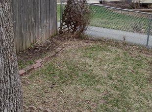 Leaf Removal by Shonna Wilkinson for Denise L. in Urbandale, IA