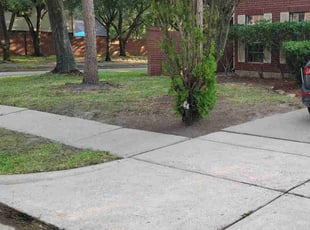 Leaf Removal by Yennifer Campos for Marie N. in Houston, TX