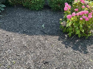 Pamela R.'s Flower Bed Weeding service result