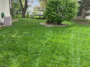 Justin K.'s Lawn Care service result