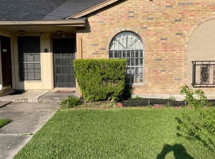 Bush Trimming by Eleazar Gavia for Annie L. in Houston, TX