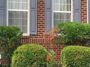 Bush Trimming by Demetrius Clark for Stacey C. in Bowie, MD