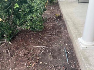 Weeding by Gilbert Osorio for Justin M. in Dumfries, VA
