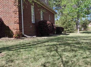 Bush Trimming by Gregory Tirado for Marcellus P. in Bessemer, AL