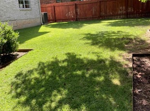 Mohammed Aslam P.'s Lawn Service service result