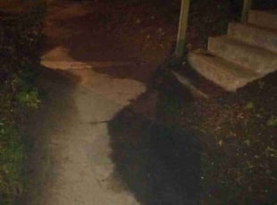 Leaf Removal by Nicole Gorman for Ashley W. in Kansas City, MO