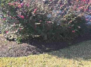 Weeding by Felix Botello for Leonard . in Humble, TX
