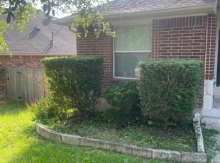 Bush Trimming by Beau Kirtner for My L. in San Antonio, TX
