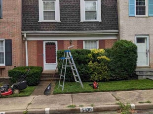 Ken P.'s Bush Trimming service result