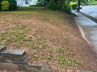 Leaf Removal by C Dubois for Kayleigh C. in Atlanta, GA