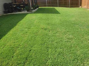 Arthurine W.'s Grass Cutting service result