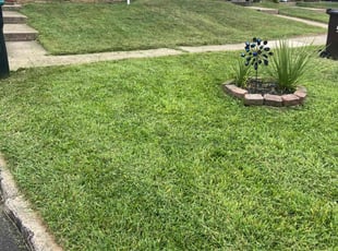 Pam S.'s Lawn Mowing service result