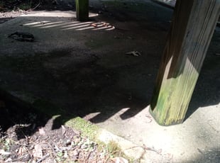 Leaf Removal by Cedric Ball for Lisa S. in Birmingham, AL