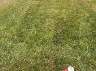 Cleanups by Conan Ford for Amy D. in Canton, NC