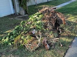 Leaf Removal by Deonte Deas for Linda K. in Deerfield Beach, FL