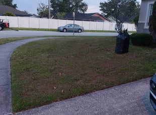 Leaf Removal by Kenneth Hall for Monifa W. in Orlando, FL