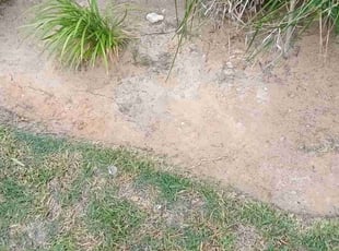 Weeding by Byron Dirden for Terence S. in Houston, TX