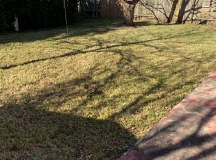 Cleanups by Todd Wilkerson for BEVERLY G. in Missouri City, TX