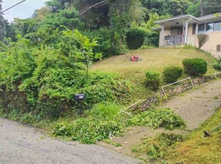 Jonathan P.'s Bush Trimming service result