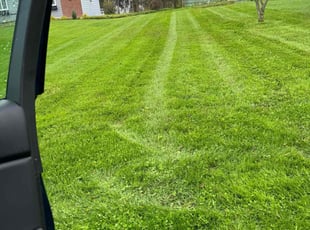 Ashley W.'s Lawn Care service result
