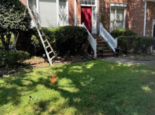 Bush Trimming by Claude Batts for Kelnisha W. in Charlotte, NC