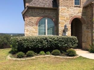 Bush Trimming by Bradley Matthiesen for Tanya K. in San Antonio, TX