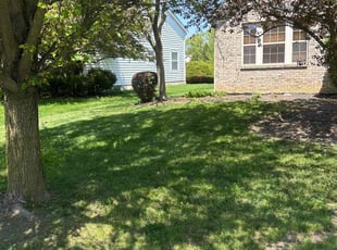 Bush Trimming by Leroy Green II for Deborah H. in Lewis Center, OH