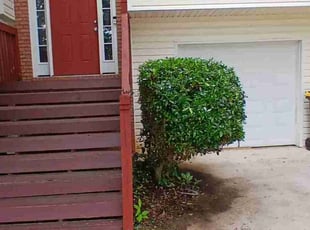 Bush Trimming by Lamona Burnett for Lashaundra H. in Hampton, GA