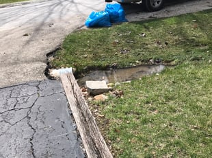 Cleanups by William McCoy for Barbara R. in Frankfort, IL