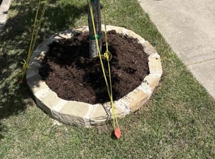 Mulching by Patrick Stewart for Shelley T. in McKinney, TX