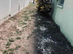 Jennifer V.'s Cleanups service result