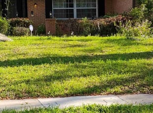 Bush Trimming by Deven Dunn for Paul G. in Altamonte Springs, FL