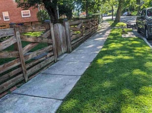 JODIE M.'s Lawn Service service result