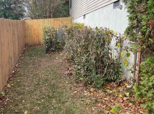 Bush Trimming by Lora Thoren for Asong N. in Franklin, TN