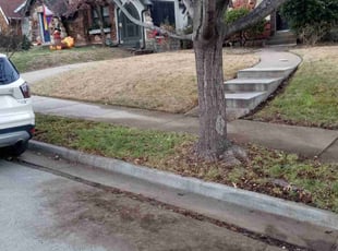 Leaf Removal by Lance Reynolds for Maureen M. in Kansas City, MO