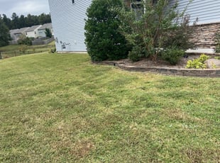 Bush Trimming by Damien Jones for Tammy S. in Durham, NC