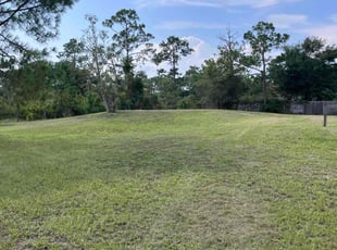 Sandra M.'s Lawn Care service result