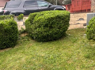 Bush Trimming by Amber Wright for Edward B. in Covington, GA
