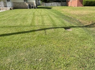Mark J.'s Lawn Care service result