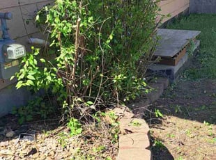 Bush Trimming by William Beacham for Ronald H. in Bel Aire, KS